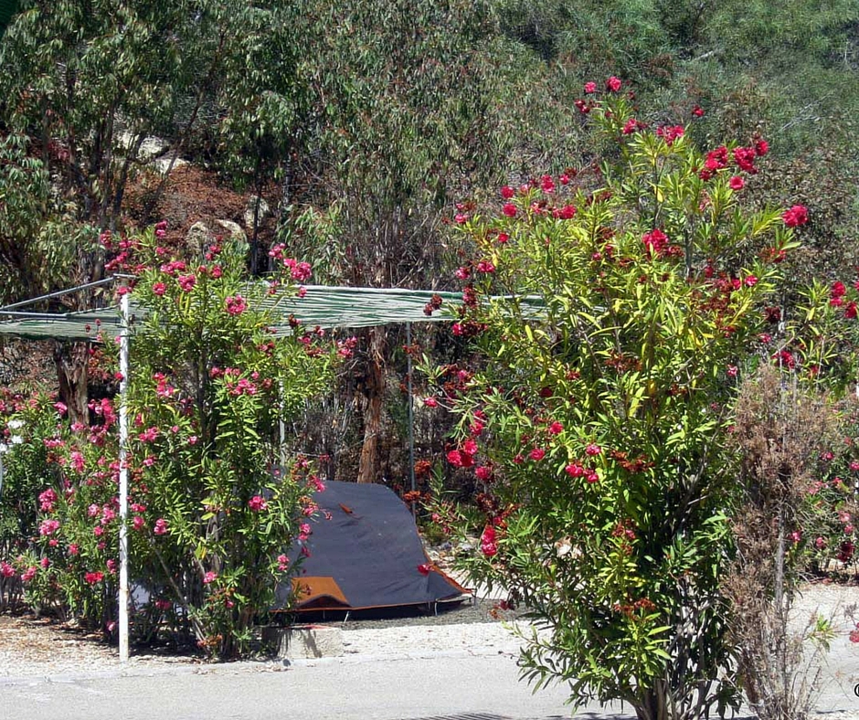 camping bungalow mojacar almeria